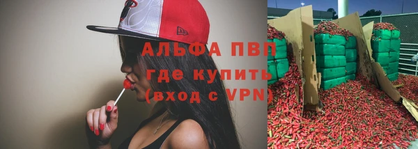 СК Арсеньев