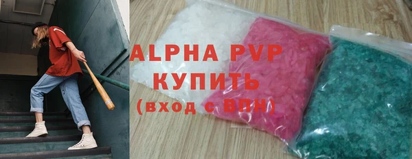 гашик Осташков