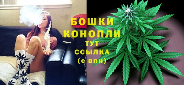 СК Арсеньев
