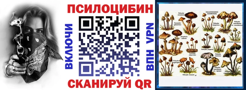 Псилоцибиновые грибы мухоморы  как найти   Скопин 